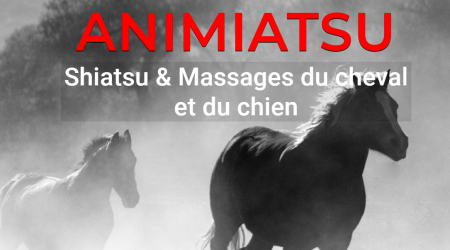 animiatsu